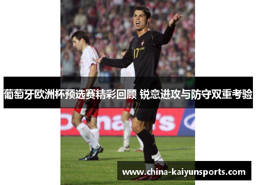 葡萄牙欧洲杯预选赛精彩回顾 锐意进攻与防守双重考验